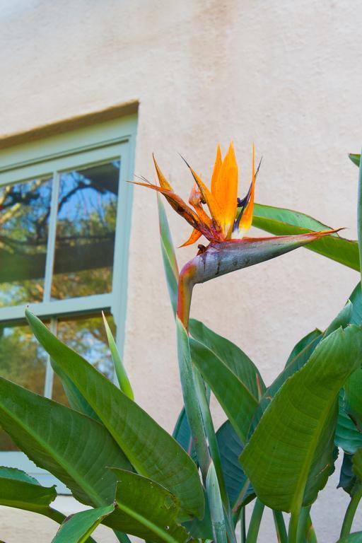 Babette Bed And Breakfast Swellendam Εξωτερικό φωτογραφία